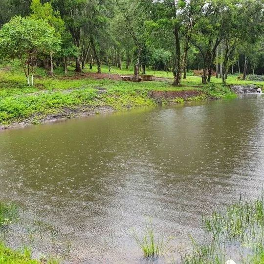 Imagem CHACARA RESIDENCIAL em TIJUCAS DO SUL - PR, Tijucas do Sul