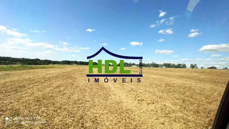 28 alqs com 24,5 alqs em Soja.