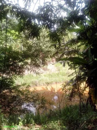 Imagem *2 SÍTIOS COM ÁREA TOTAL DE 9.425M²
*2 CASAS 
*TODO GRAMADO
*2 PISCINAS, 2 LAGOS
*ESCRITURA E REG...