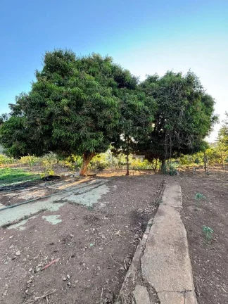 Imagem Chácara à venda no Jardim Helvécia Complemento - Aparecida de Goiânia/GO