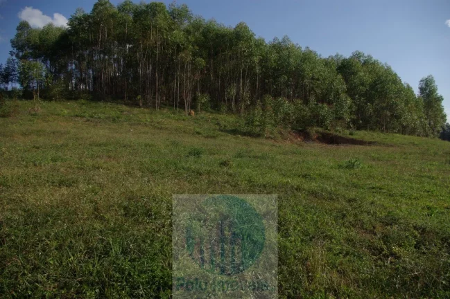 Imagem Sítio 13,5 alqueires R$ 150.000 valor do alqueire, excelente estrutura, planta milho, soja, tem 2.000 pés de mexerica - Jacuí - Minas Gerais