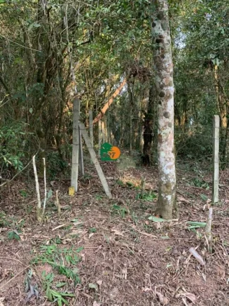 Imagem Terreno para Venda em São Roque, Jardim Dos Andes (mailasqui)