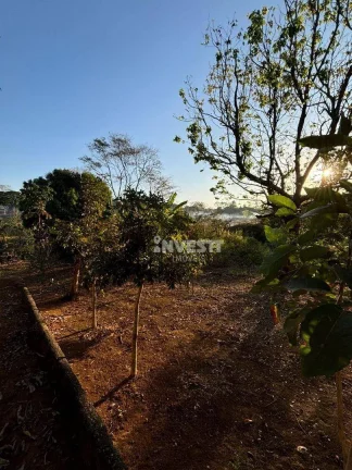 Imagem Chácara à venda no Jardim Helvécia Complemento - Aparecida de Goiânia/GO