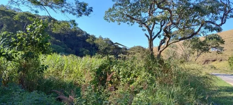 Imagem Terreno à venda no bairro Cedro - Cunha/SP