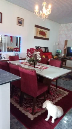 Imagem Encanto e Tranquilidade: Chácara Exclusiva à Venda em Sumaré!