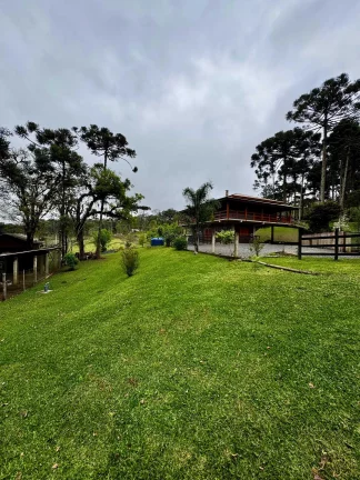 Imagem Chácara com 15.000 m² em Salto do Engenho | Campo Alegre/SC