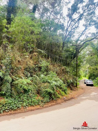Imagem Terreno a Venda na Região do Vila Inglesa Campos do Jordão- SP.