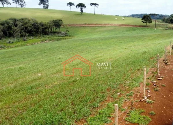 FAZENDA RURAL em CERRO NEGRO - SC, Interior