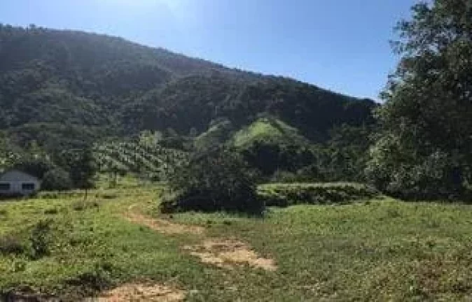 Imagem SITIO RURAL em GUARAPARI - ES, COMUNIDADE URBANA DE JABOTI