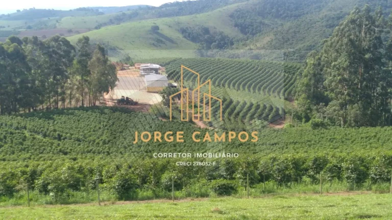 Imagem FA-25259 - FAZENDA À VENDA SUL DE MINAS GERAIS