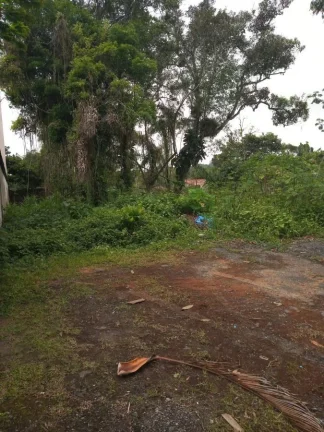 Imagem Terreno para Venda em Peruíbe, Jardim Somar
