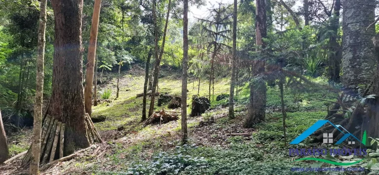 Imagem Mergulhe na Serenidade da Serra da Mantiqueira: Terreno com Cachoeira