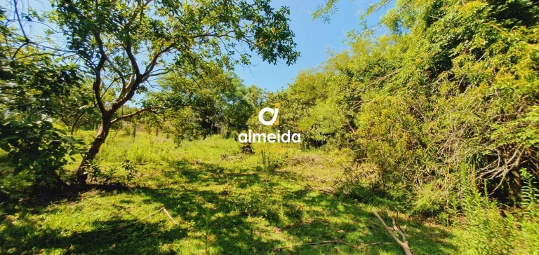 Imagem BELA AREA A VENDA