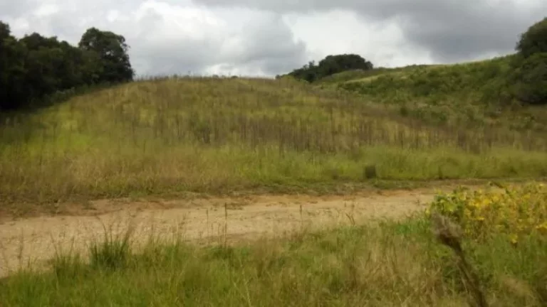 Imagem Terreno em Campo Magro