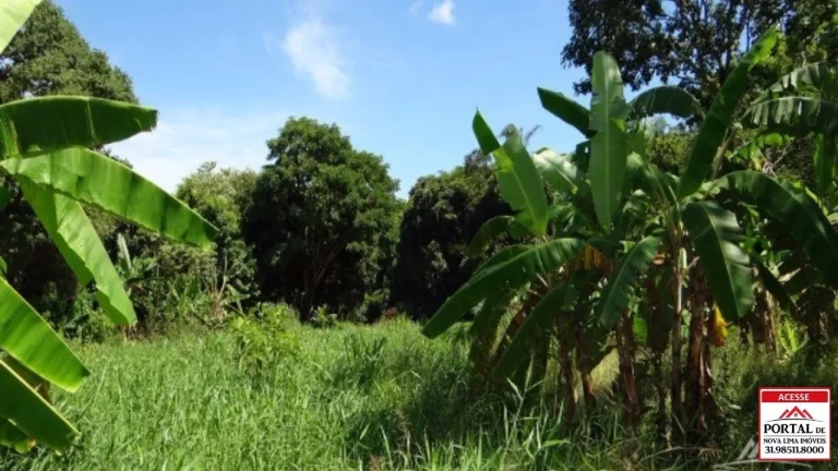 Imagem VENDO BELO SITIO EM ESMERALDAS, JUNTO AO CONDOMÍNIO IPÊ AMARELO. AMPLA ÁREA DE LAZER, PISCINA, SAUNA, QUADRA E LAGOA COM MUITO PEIXE