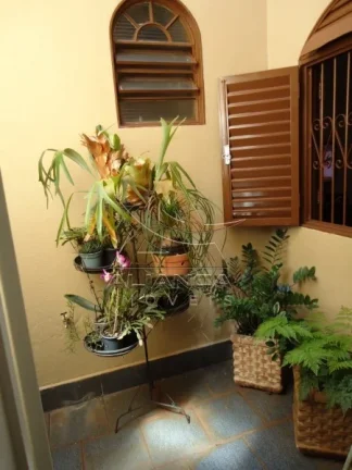 Imagem Casa - Ribeirão Preto - Parque Bandeirantes