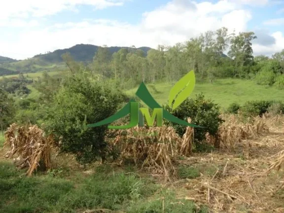 Imagem Lindo sítio à Venda em Piracaia no asfalto