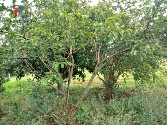 Imagem Terreno à venda no bairro bairro turvo - Tatuí/SP