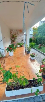 Imagem CASA NO CENTRO, PROXIMO A MATERNIDADE, EXCELENTE PARA CLÍNICA
