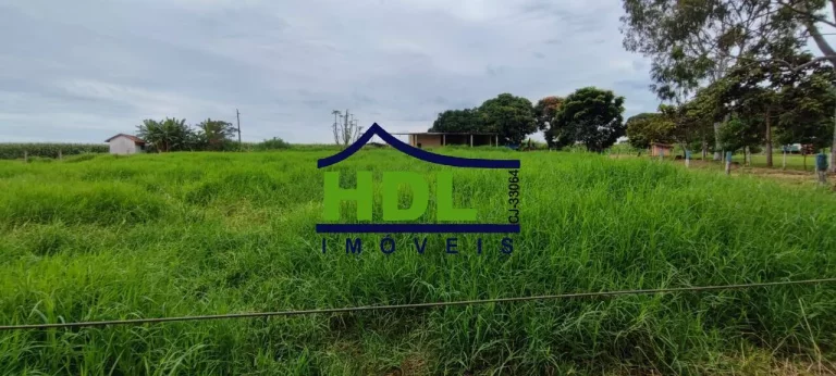 Fazenda de 23 alqs com estrutura para leite.