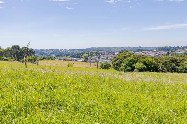Imagem Terrenos em condomínio próximo ao Passauna