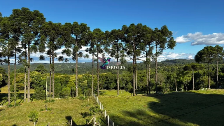 Imagem Chácara à venda no bairro Ana Rech - Caxias do Sul/RS
