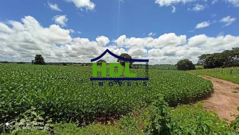 Imagem 28 alqs com 24,5 alqs em Soja.