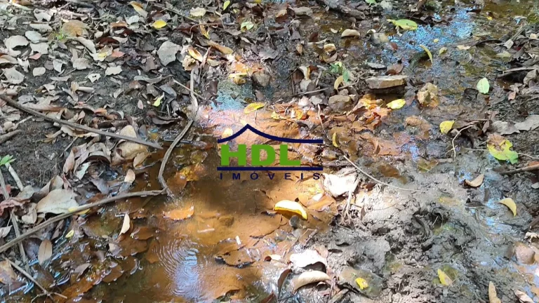 Imagem Chácara 2 Alqs de Cultura Forte e nascente 85 kms de Goiânia