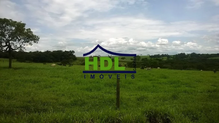 Imagem FAZENDA 38,5 ALQS EM PIRACANJUBA - GO