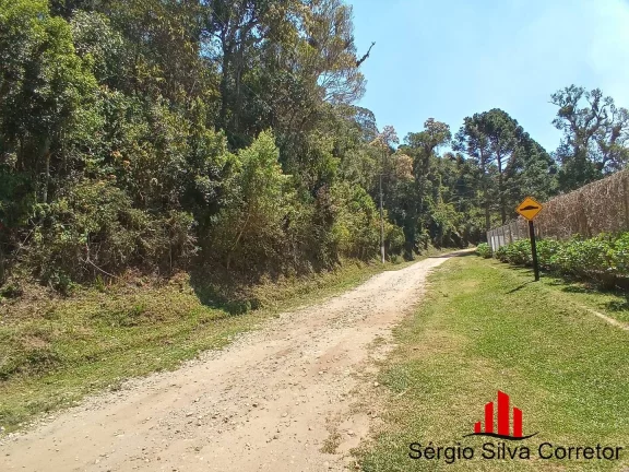 Imagem Terreno a Venda em Vila Capivari - Campos do Jordão - SP.