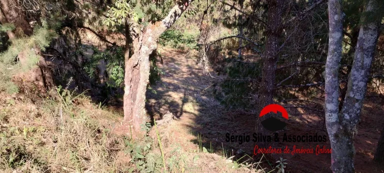 Imagem Terreno a Venda na Região do Alto da Boa Vista Campos do Jordão -SP.