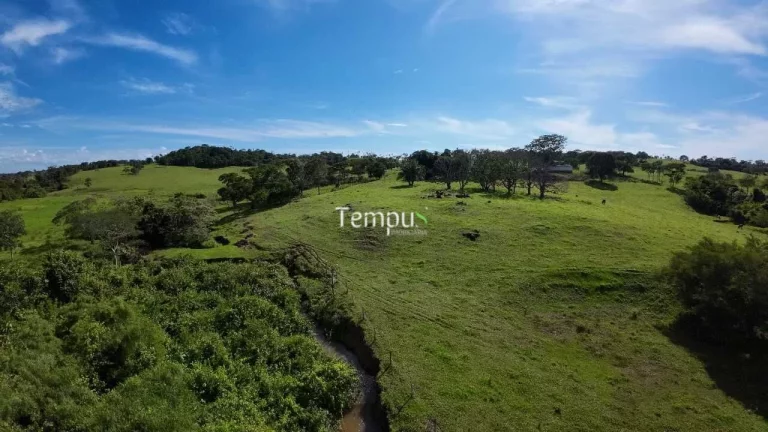 Imagem Fazenda 3 alqueires em Anicuns - Excelente para plantio