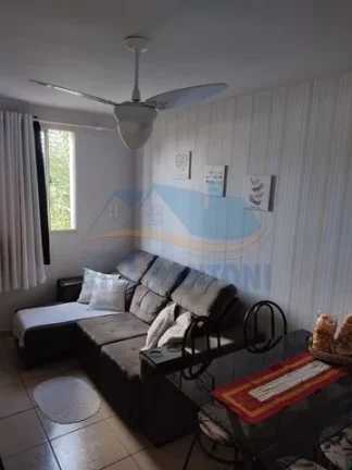 Imagem Apartamento - Ribeirão Preto - Monte Alegre - Região Oeste