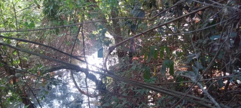 Imagem Chácara para Venda em Brasília, Setor Habitacional Jardim Botânico