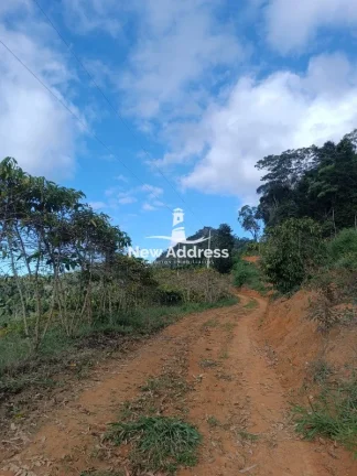 Imagem Terreno com 5.000 m² e Plantação de Café à Venda - Santa Lepoldina