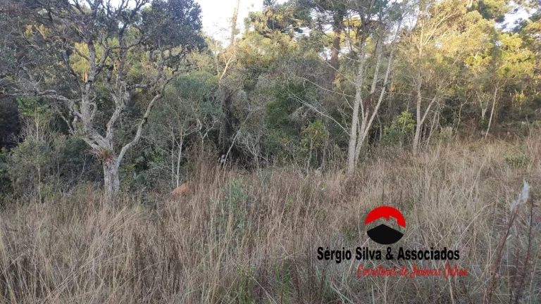 Imagem Terreno a venda na região do Descansópolis em Campos do Jordão - SP