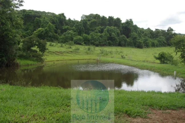 Imagem Fazenda 59 alqueires para soja, milho, gado em Cássia dos Coqueiros - SP . Temos autorização para venda.