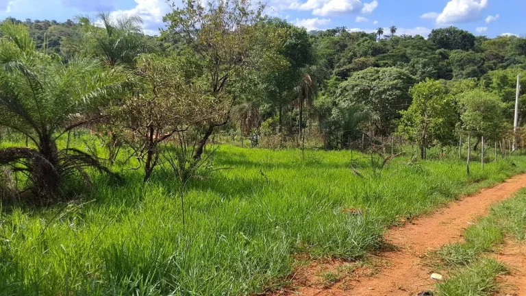 Imagem LOTES COM FINANCIAMENTO PRÓPRIO, EM MATEUS LEME