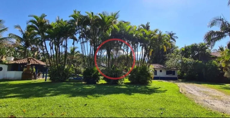 Imagem Oportunidade ,3 CASAS MAIS PROJETO DE POUSADA EM UM SITIO em Cambury , com ESCRITURA, 3 casas,Piscina e Maraviloso Gramado
