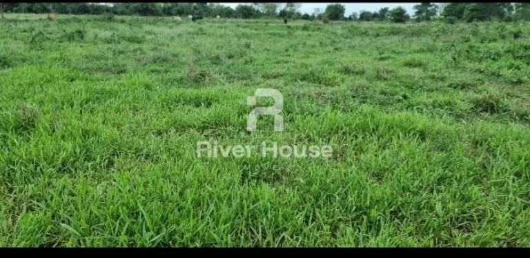 Imagem Fazenda à venda, Região Distrito Olho D´agua, Santo Antônio do Leverger, MT