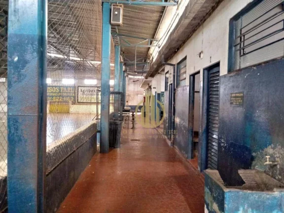 Imagem Salão à venda, 900 m² por R$ 1.500.000,00 - Ipiranga - Ribeirão Preto/SP