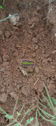 Imagem Fazenda 240 Alqs Dupla Aptidão em Peixe TO