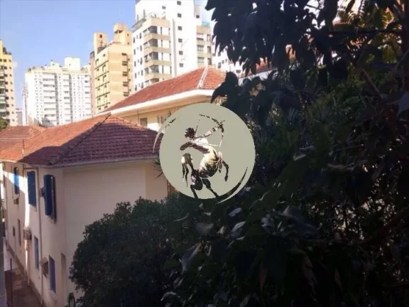 Imagem OPORTUNIDADE! APARTAMENTO COM CONDOMINIO BAIXO NO BAIRRO DO GONZAGA PROXIMO A PRAIA.