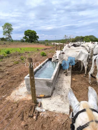 Imagem Fazenda à venda em Mineiros-GO: 150,00 alqueires na Área Rural de Mineiros