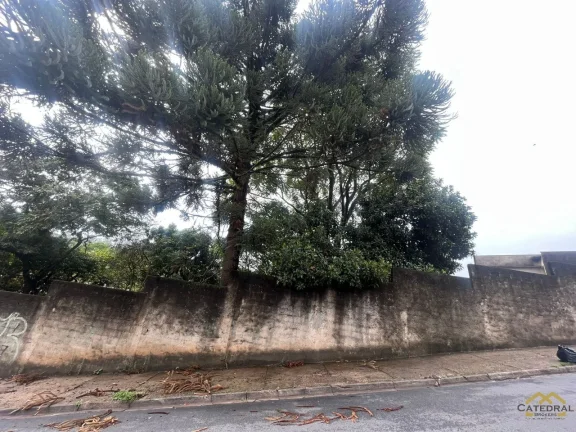 Imagem Terreno de rua todo murado no Bairro Santa Gertrudes - DOCUMENTAÇÃO OK