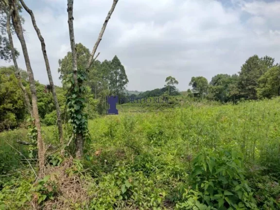 Imagem ÁREA RESIDENCIAL COM 10.000M²