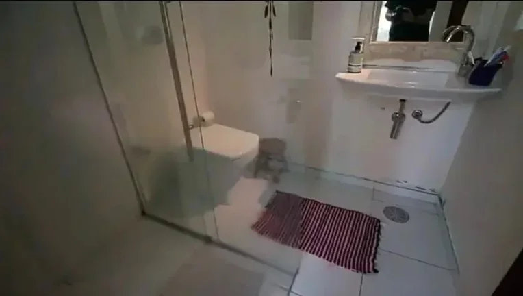 Imagem Apartamento para Venda, Água Branca, 3 dormitórios, 1 banheiro