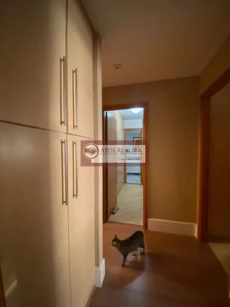 Imagem Apartamento em Vila Leopoldina - São Paulo