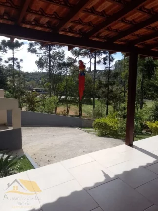 Imagem Vendo linda casa no Campo do Coelho com 2 quartos e 980 mts² de terreno