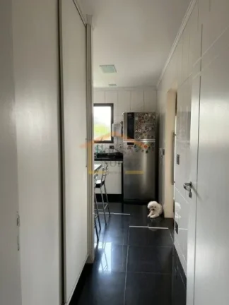 Imagem Amplo apartamento com 3 suítes, sala com 2 ambientes, varanda, sala de jantar, lavabo, cozinha espa...